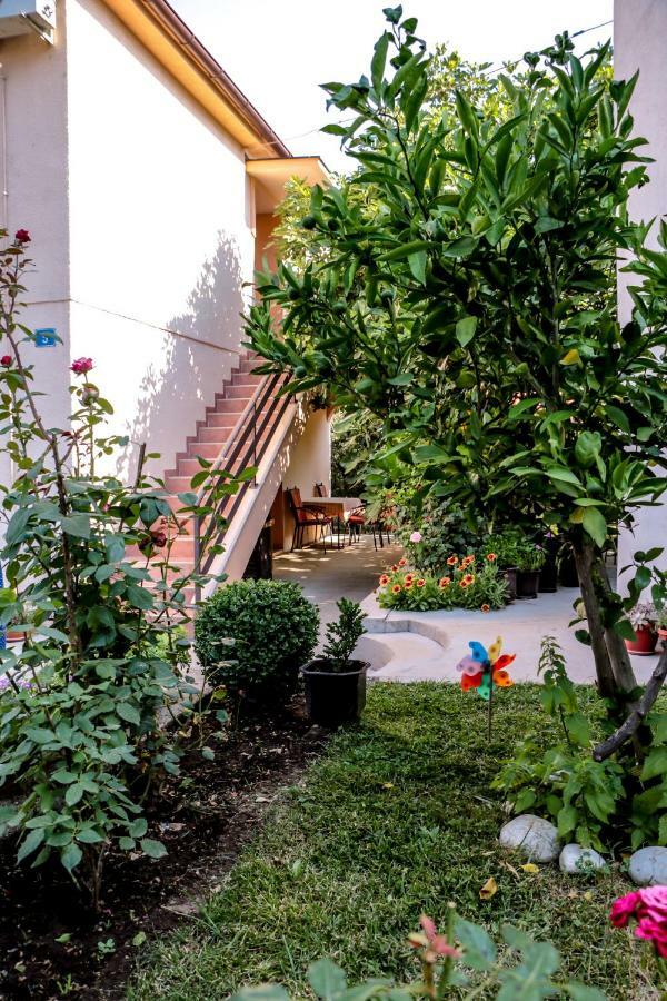 Apartman Draz تريبينيي المظهر الخارجي الصورة
